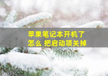 苹果笔记本开机了 怎么 把启动项关掉